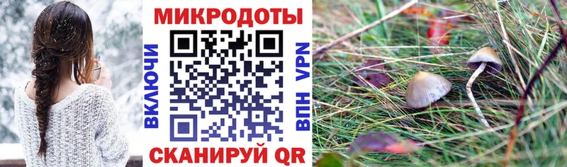 Купить закладки  Темрюк  Псилоцибиновые грибы мицелий 