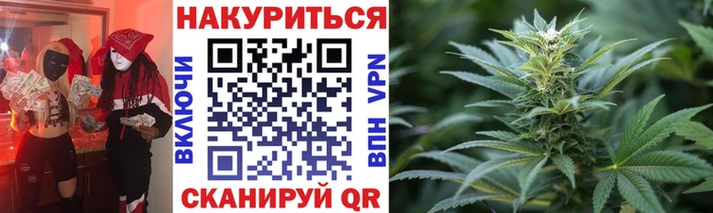 Купить закладки  Темрюк  Бошки Шишки семена 